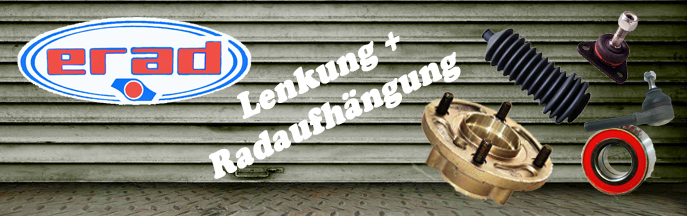 Lenkung & Radaufhängung Erad Agora (CE 8)