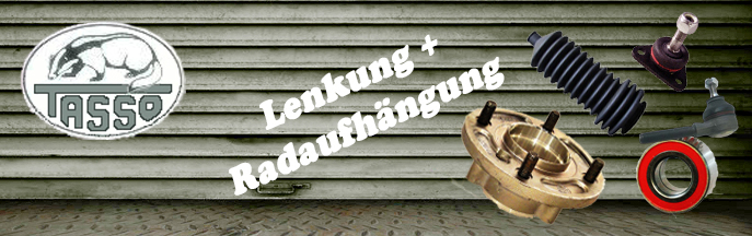 Lenkung & Radaufhängung Tasso Bingo