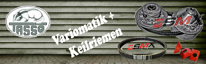 Variomatik & Keilriemen Tasso Bingo