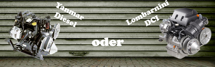 Motor / Varianten JDM Aloës